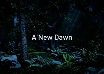 A New Dawn